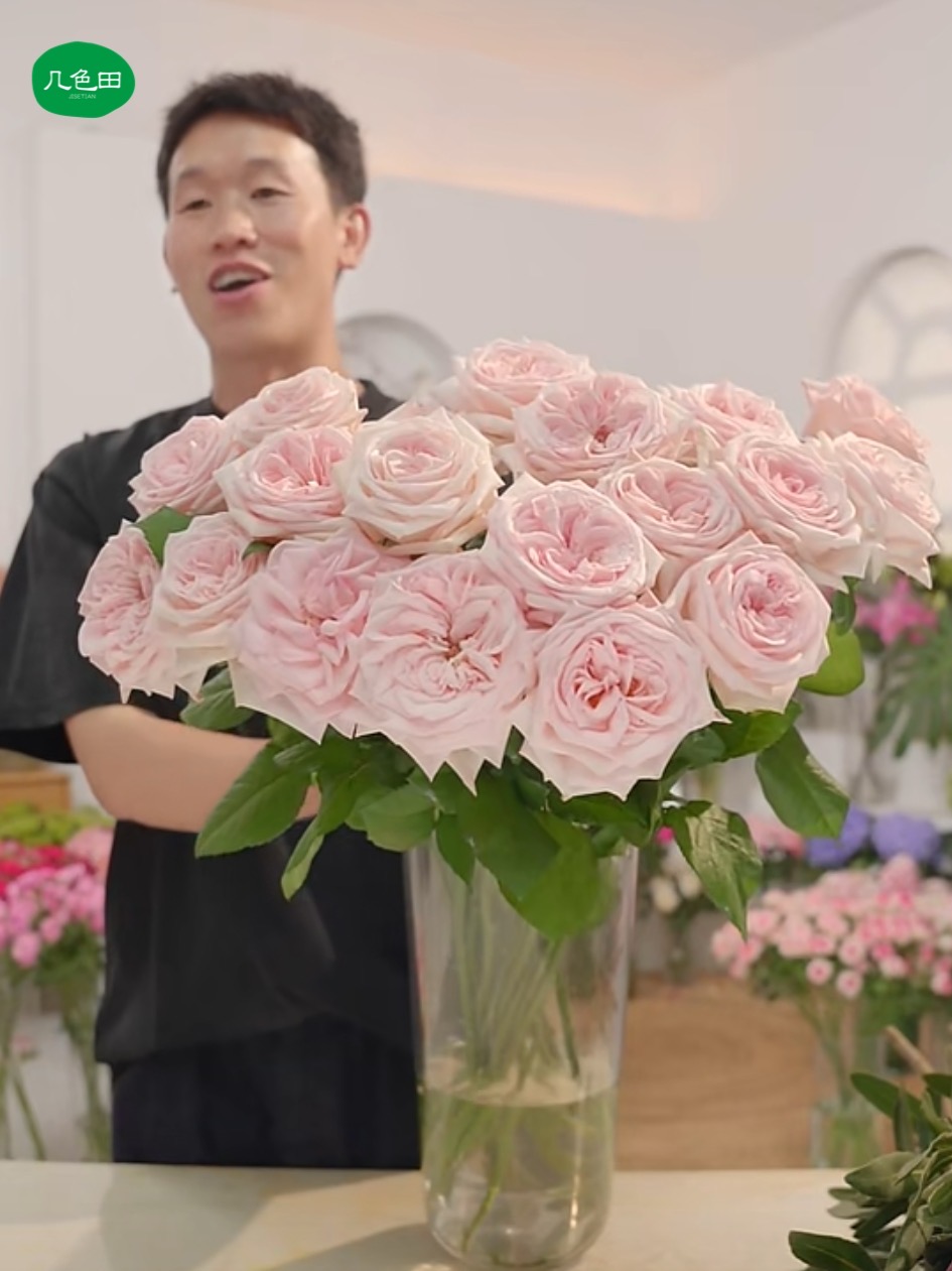 粉荔枝----单头玫瑰云南直发鲜花云南花插花鲜花 