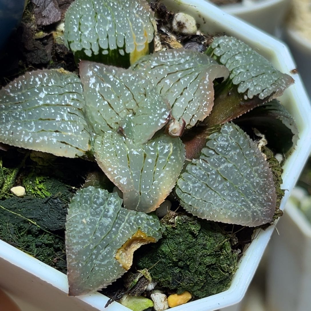 恭喜发财大吉大利914