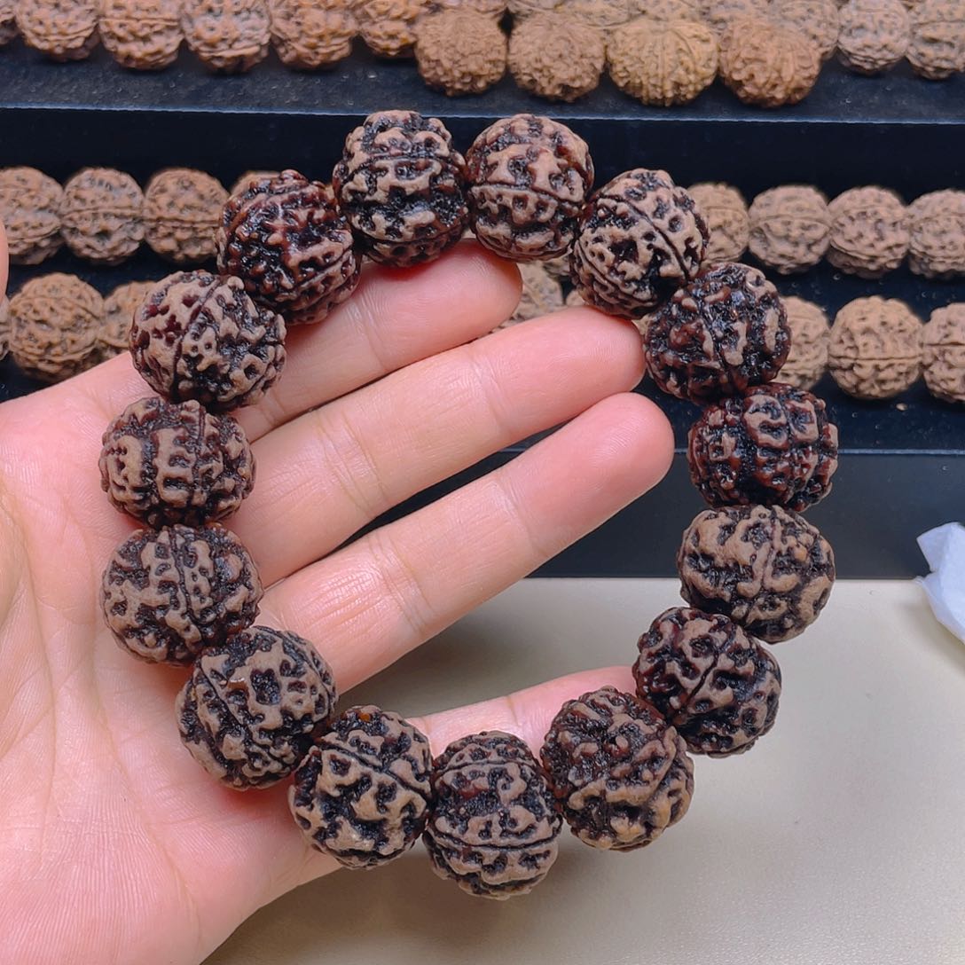 手串金刚菩提24mm古龙铁籽扇面