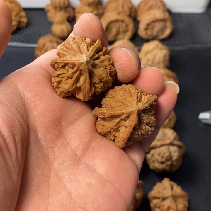 把件桃核5686446788