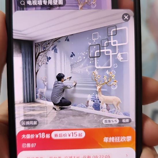 念***边客厅电视墙壁画壁布