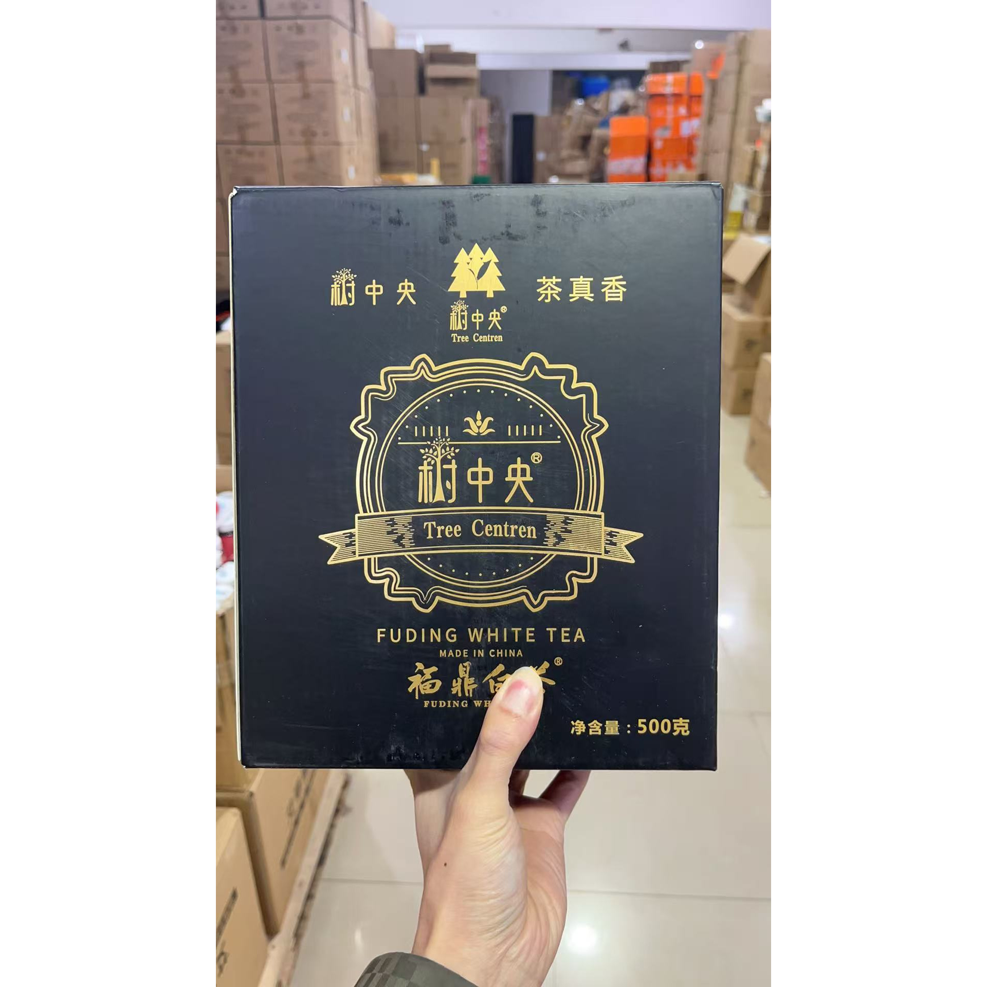 树中央福鼎寿眉白茶