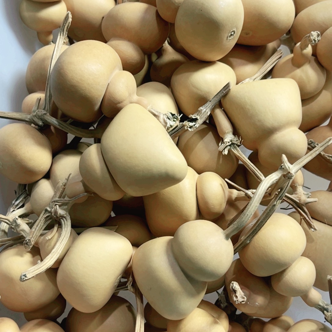 小钱袋器型随机发20个