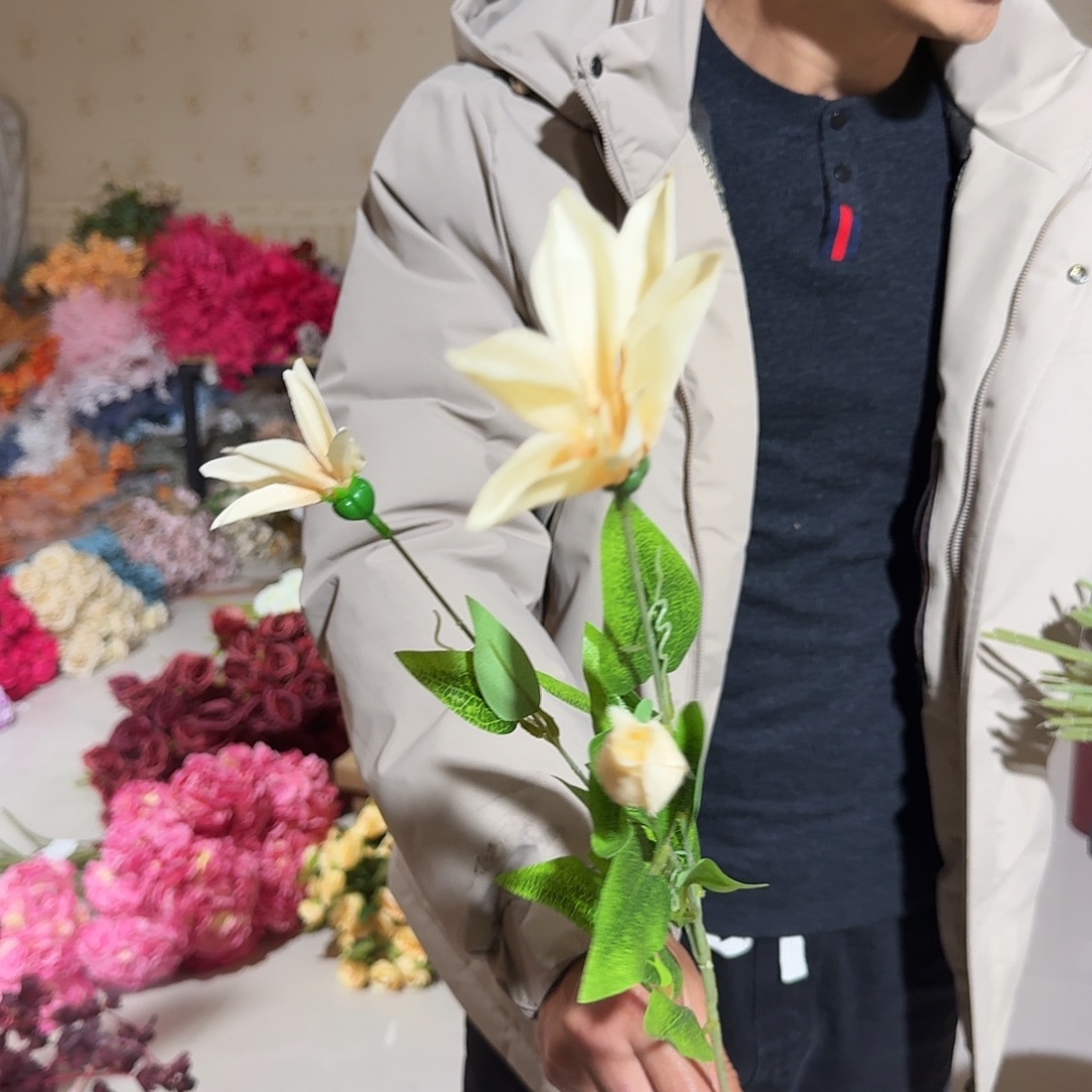 香槟色铁线莲20支装