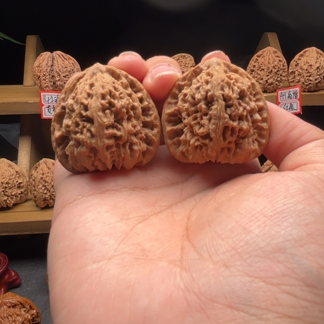 o***k核桃涿鹿南疆一代