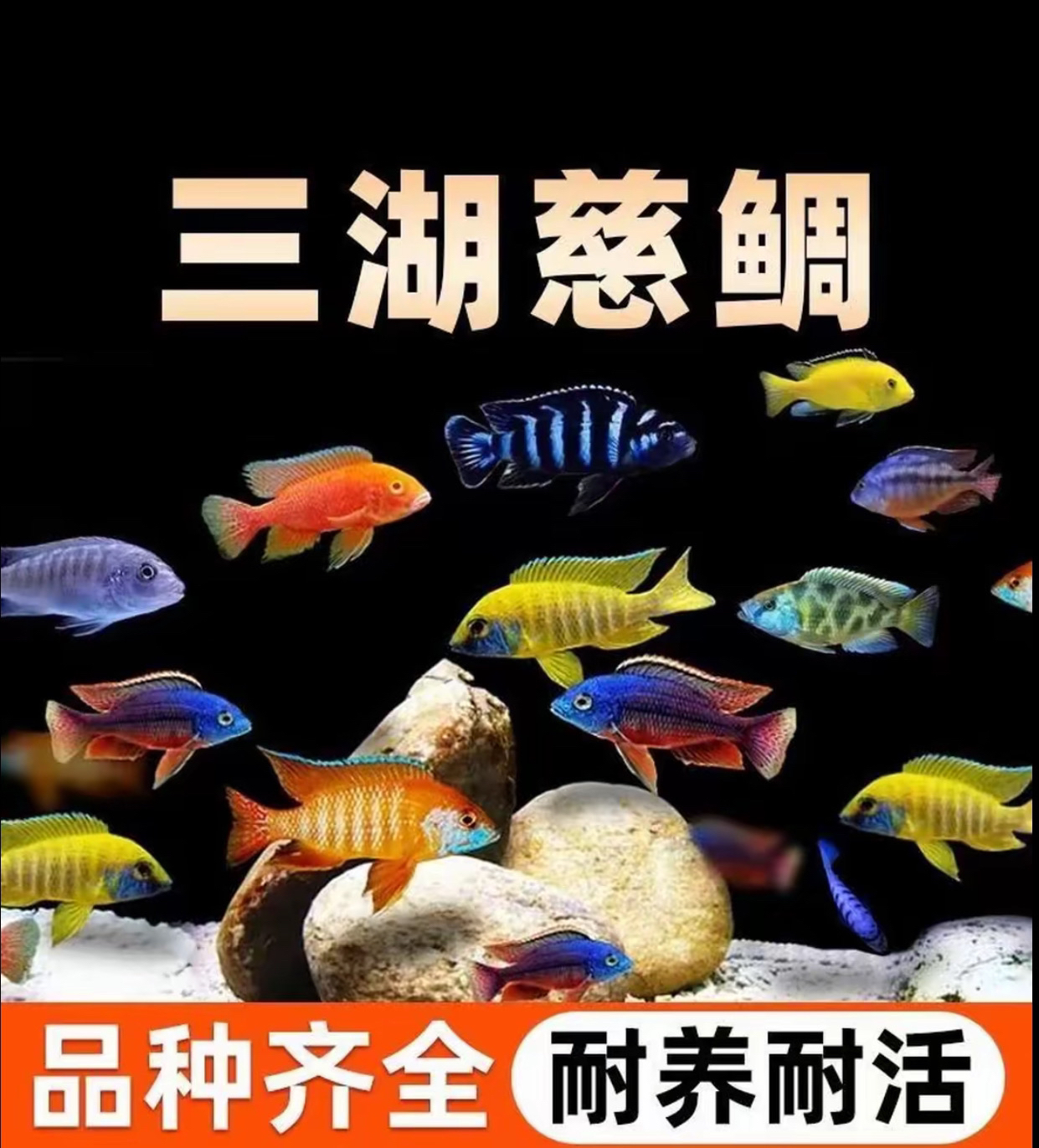 三湖慈雕精品皇帝雕