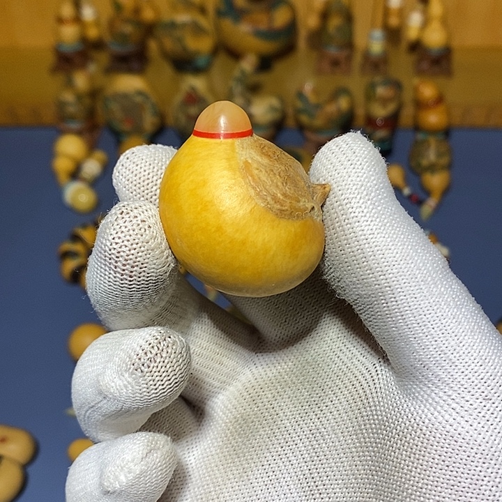 官***山葫芦葫芦葫芦葫芦