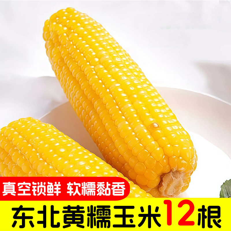 【到手12根】东北头茬甜糯黄玉米真空装新鲜紫玉米单根200g-240g/根