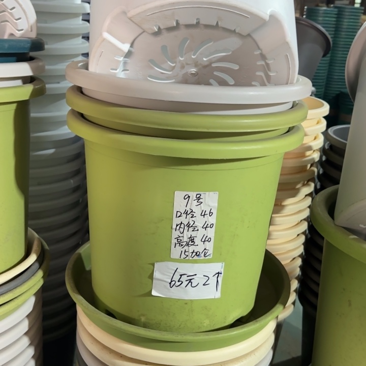 微瑕9#口径46无托果绿3个