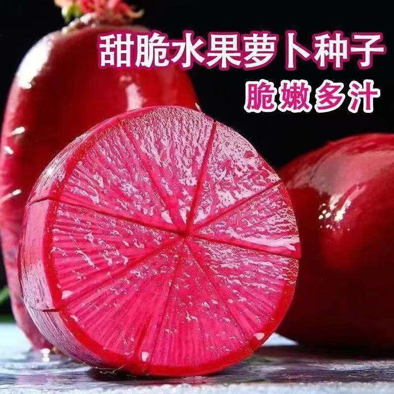 【凤梨萝卜种子】红心萝卜种籽四季秋播阳台盆栽农家蔬红皮秋季播