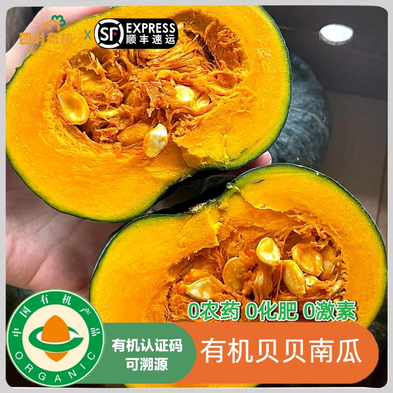 有机贝贝南瓜，粉糯香甜板栗有机认证无农残口感好不水早餐顺丰