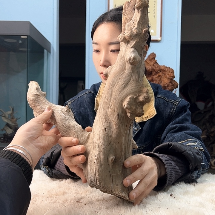 柏木欢**好我们的生活也是