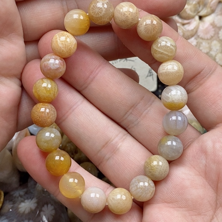 硅化珊瑚（珊瑚玉）未镶嵌颈饰