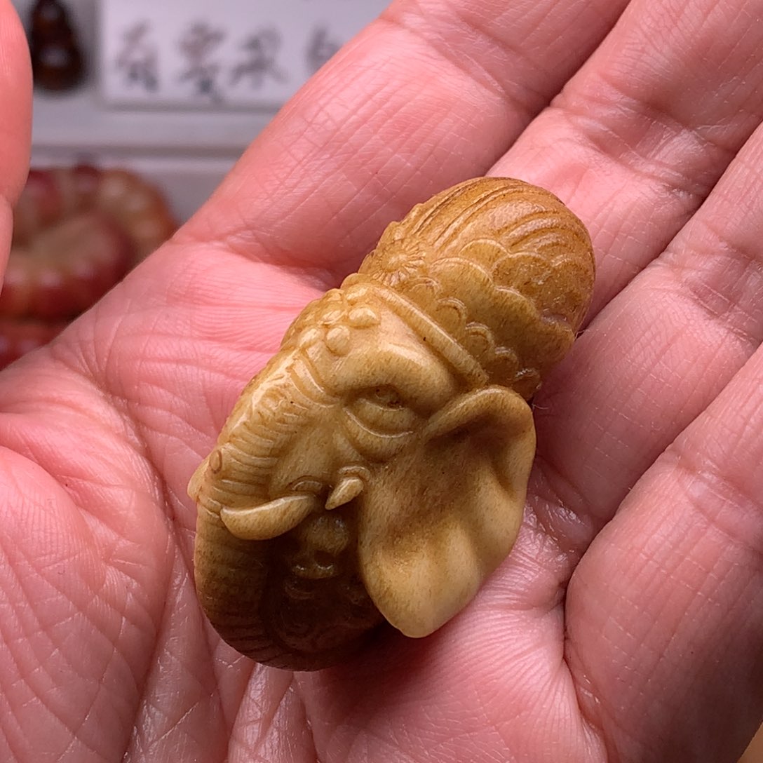 鹿骨其他天天都在盘  