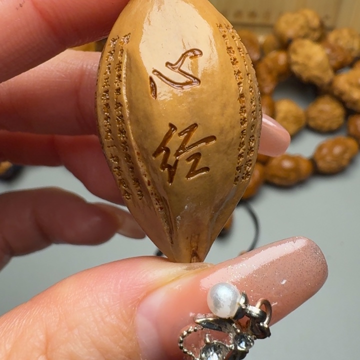 橄榄核手串/手链福利单粒