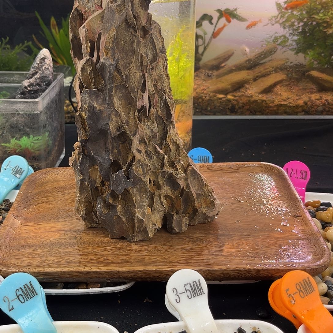 纯天然松皮石造景