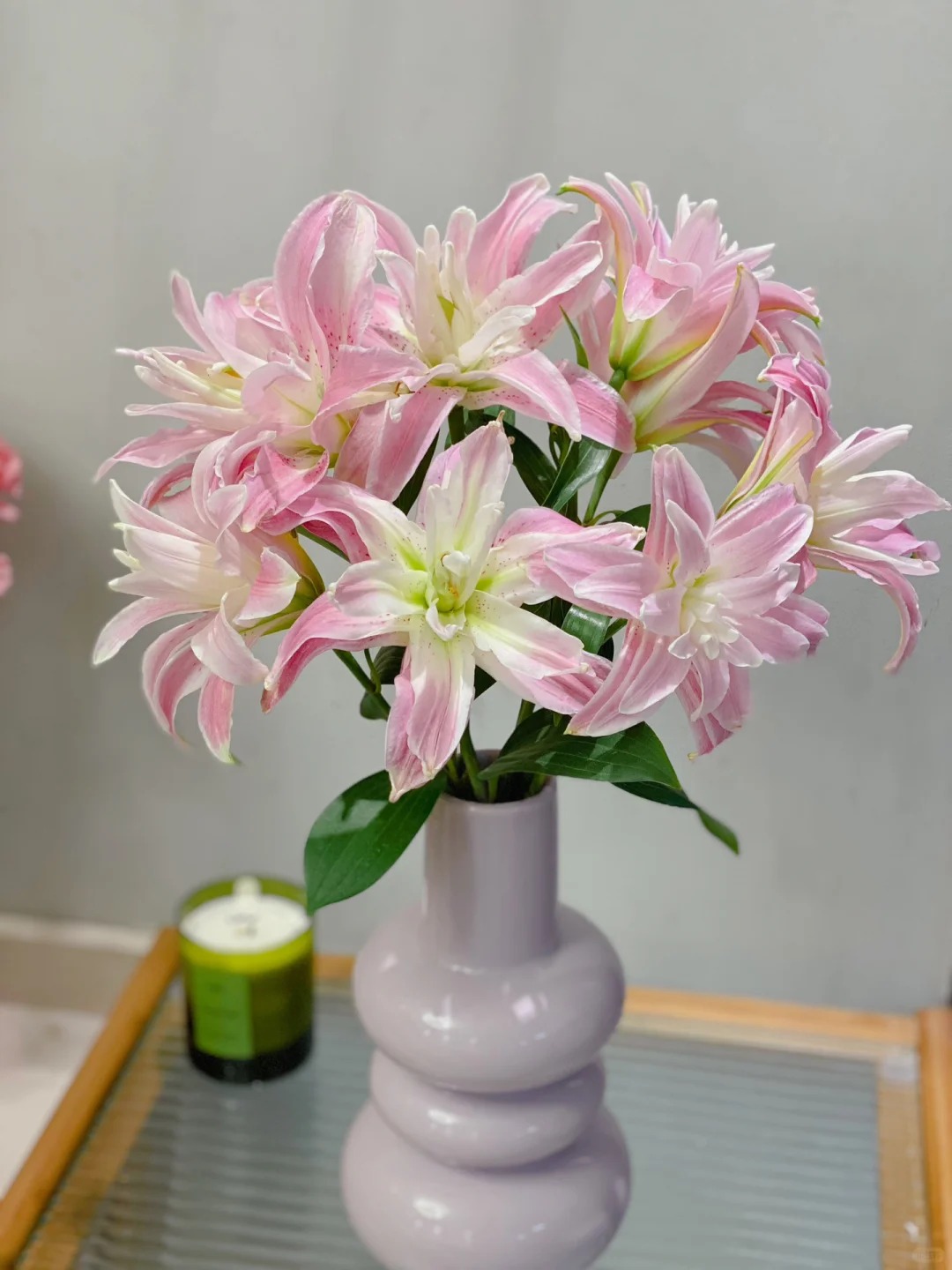 【花满堂】重瓣百合 魔法公主  任意两单包邮 发货后不支持退款