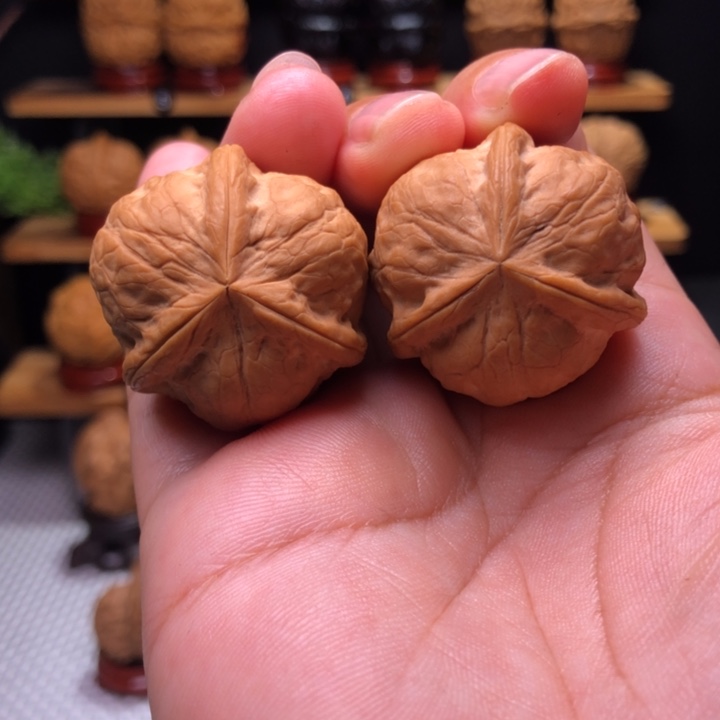 【闪购商品】傈**余甲壳虫三棱1