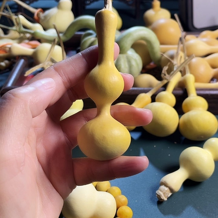 一***来大叶紫檀（黑酸枝木类）