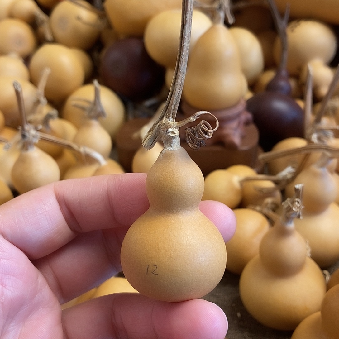 文玩葫芦 完美主义者 慎拍12