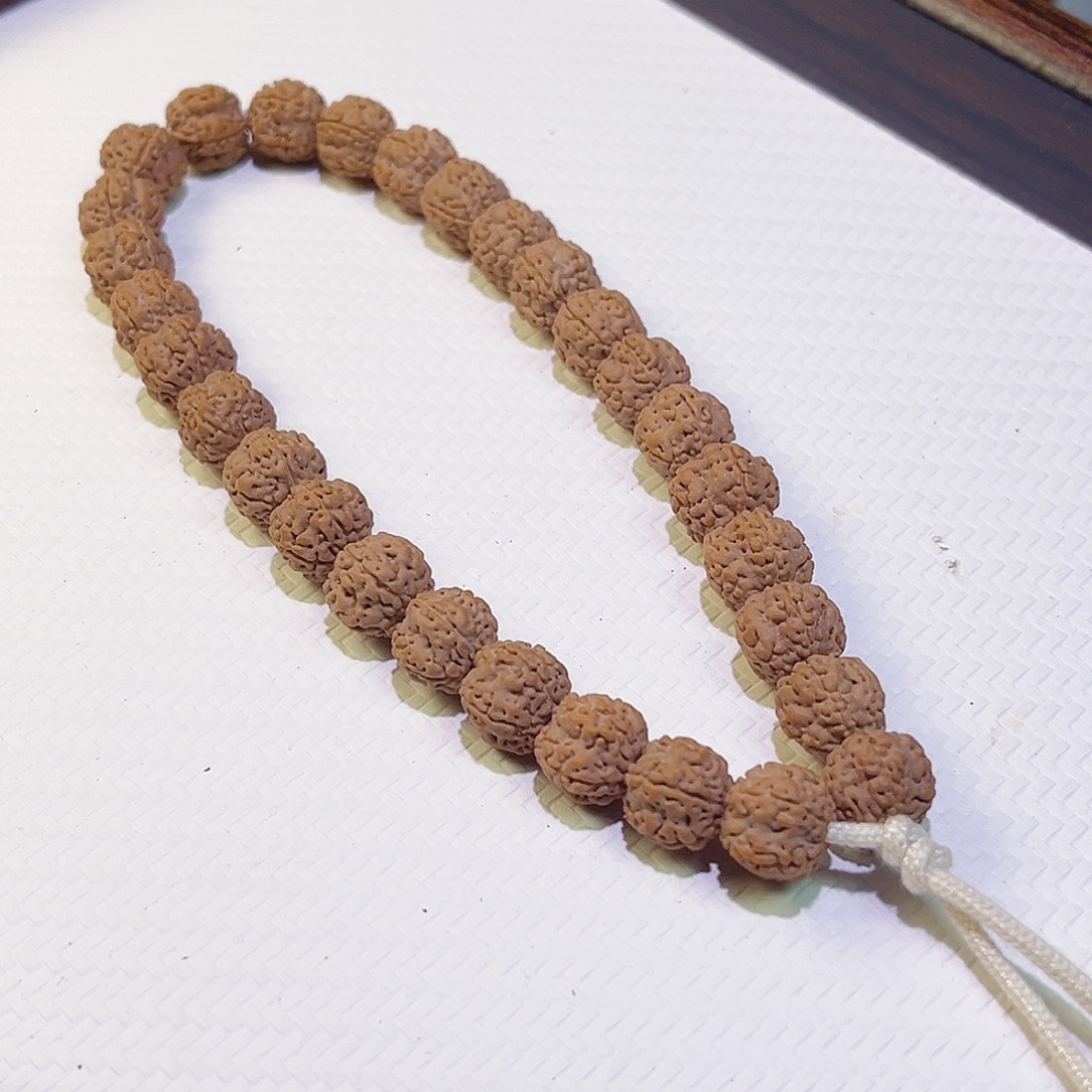 金刚菩提手串老树双龙梅花单圈10