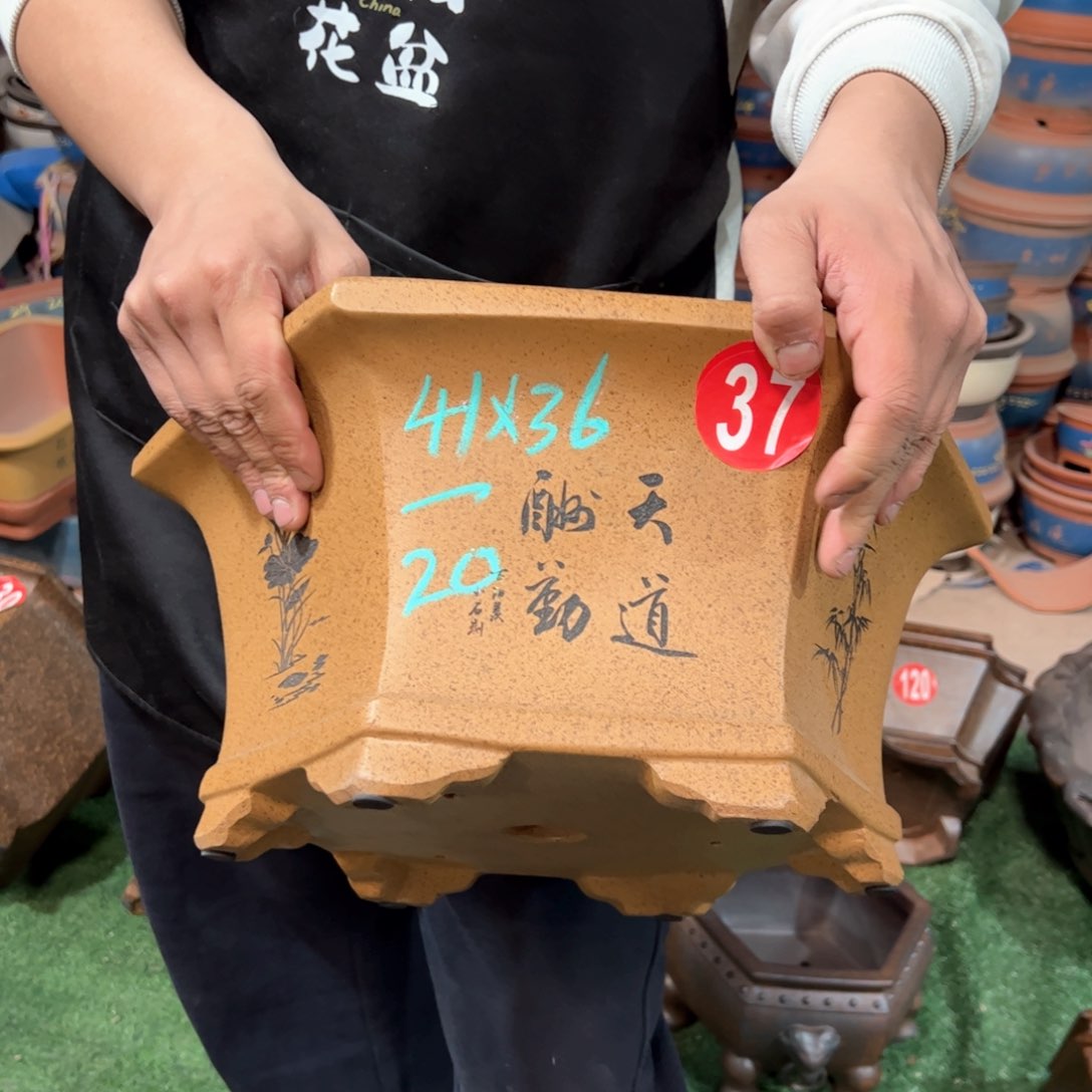 紫砂花盆紫砂花盆