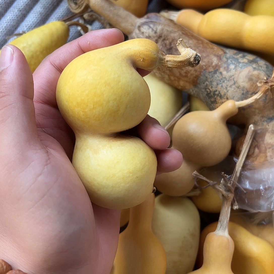 心***野哈哈哈哈哈哈哈哈哈哈