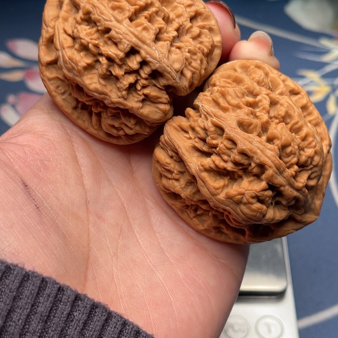 文玩核桃把件粗筋48