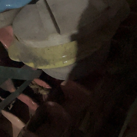 瓷片国营厂12厘米黄色