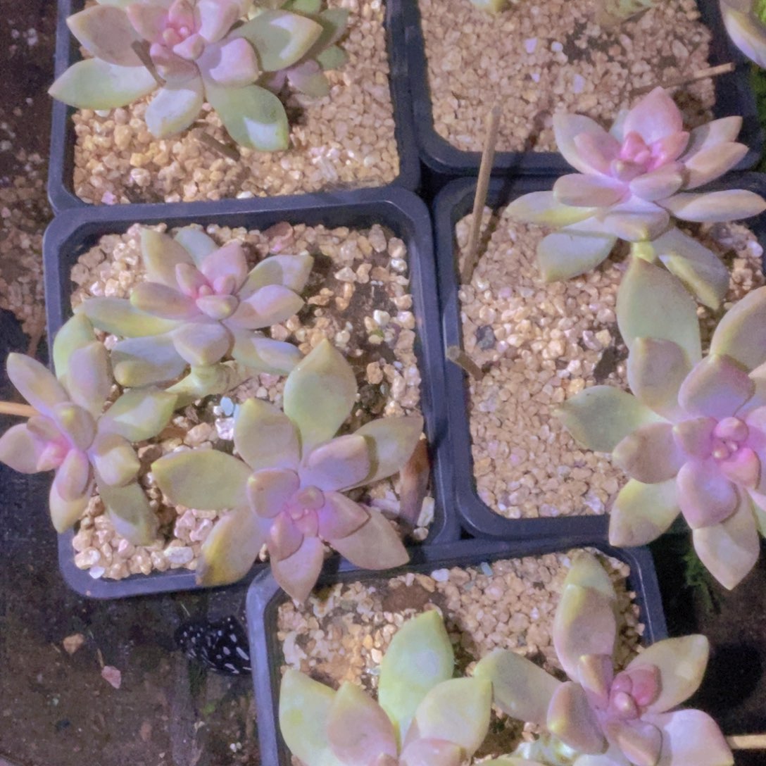 爱***、箱拍一单包邮一物一拍