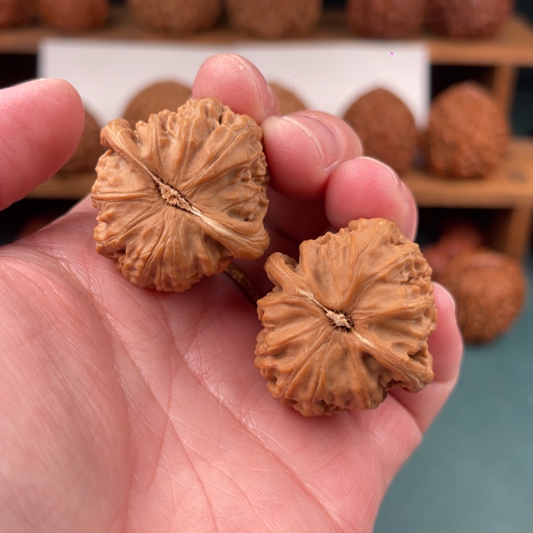 文玩核桃把件32尺山地三角白狮子