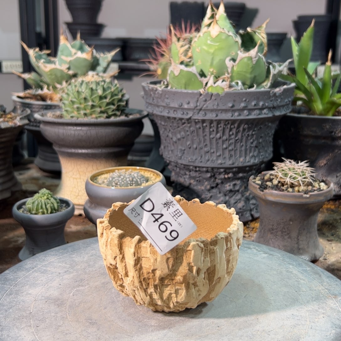 景德镇素里手工 内口9.3高6.5