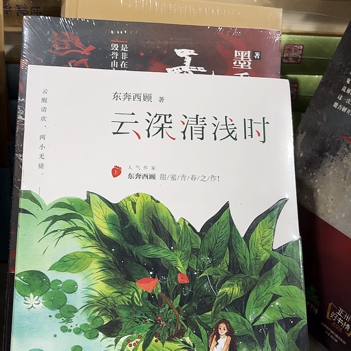 云深清浅时全新两本一套