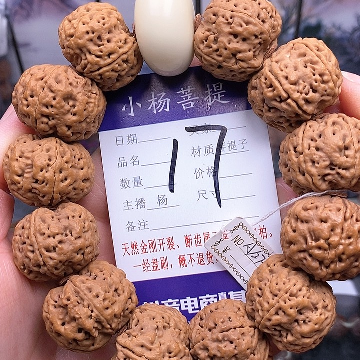 手串金刚菩提27+霸王龙