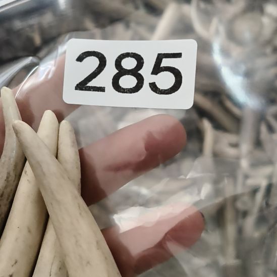 八***山鹿角鹿角鹿角鹿角鹿角鹿角