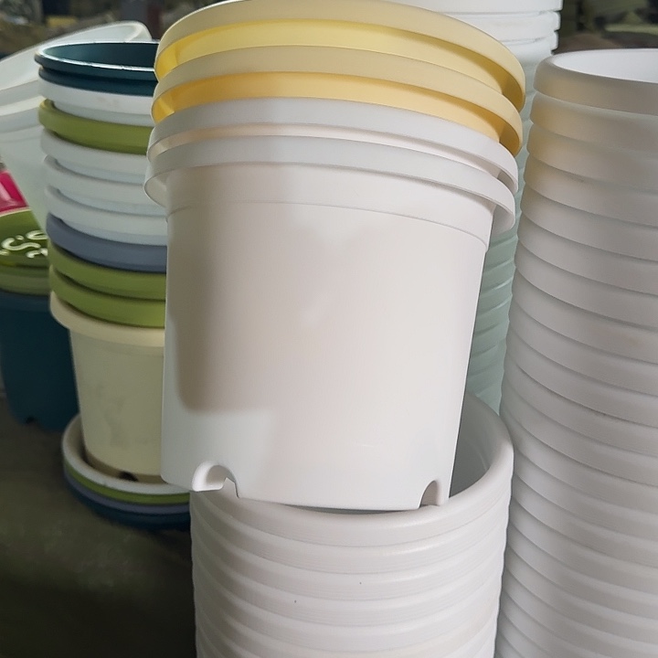 四季3#口径21白色10个无托