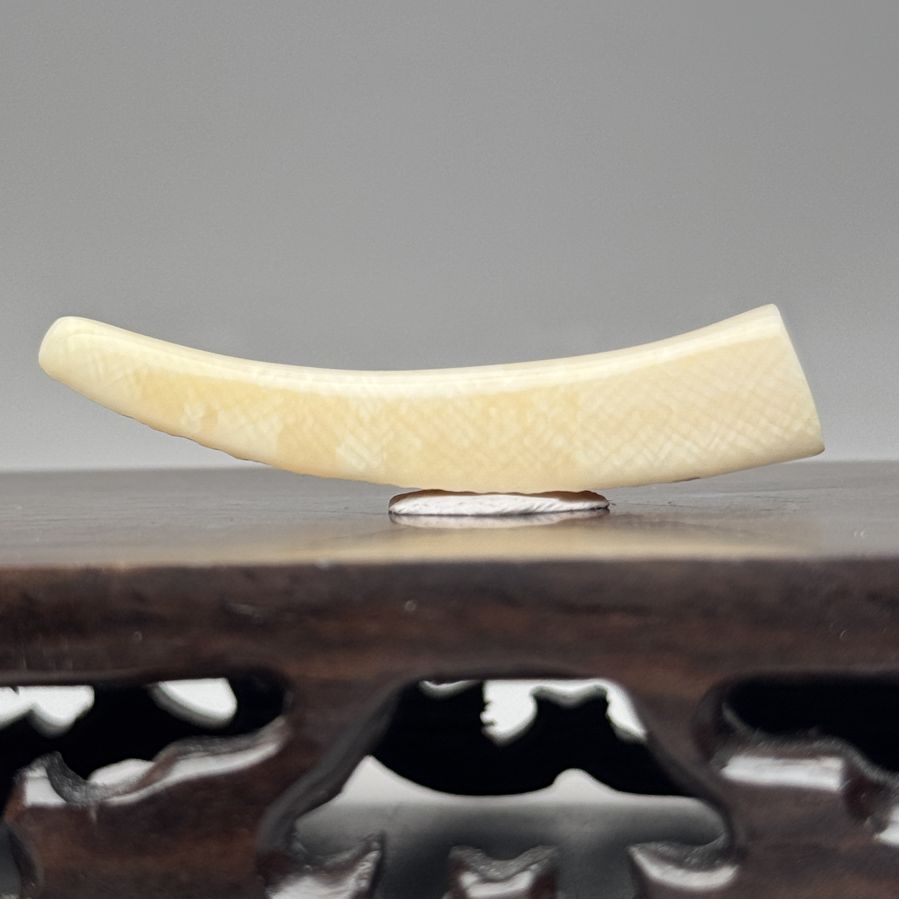 DEZHI/德志51*15*10mm7.8g牙尖吊坠天然猛犸牙A530