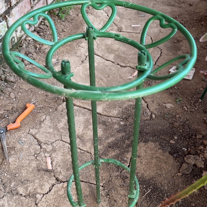 前***明一套花架^_^^_^^_^^_^