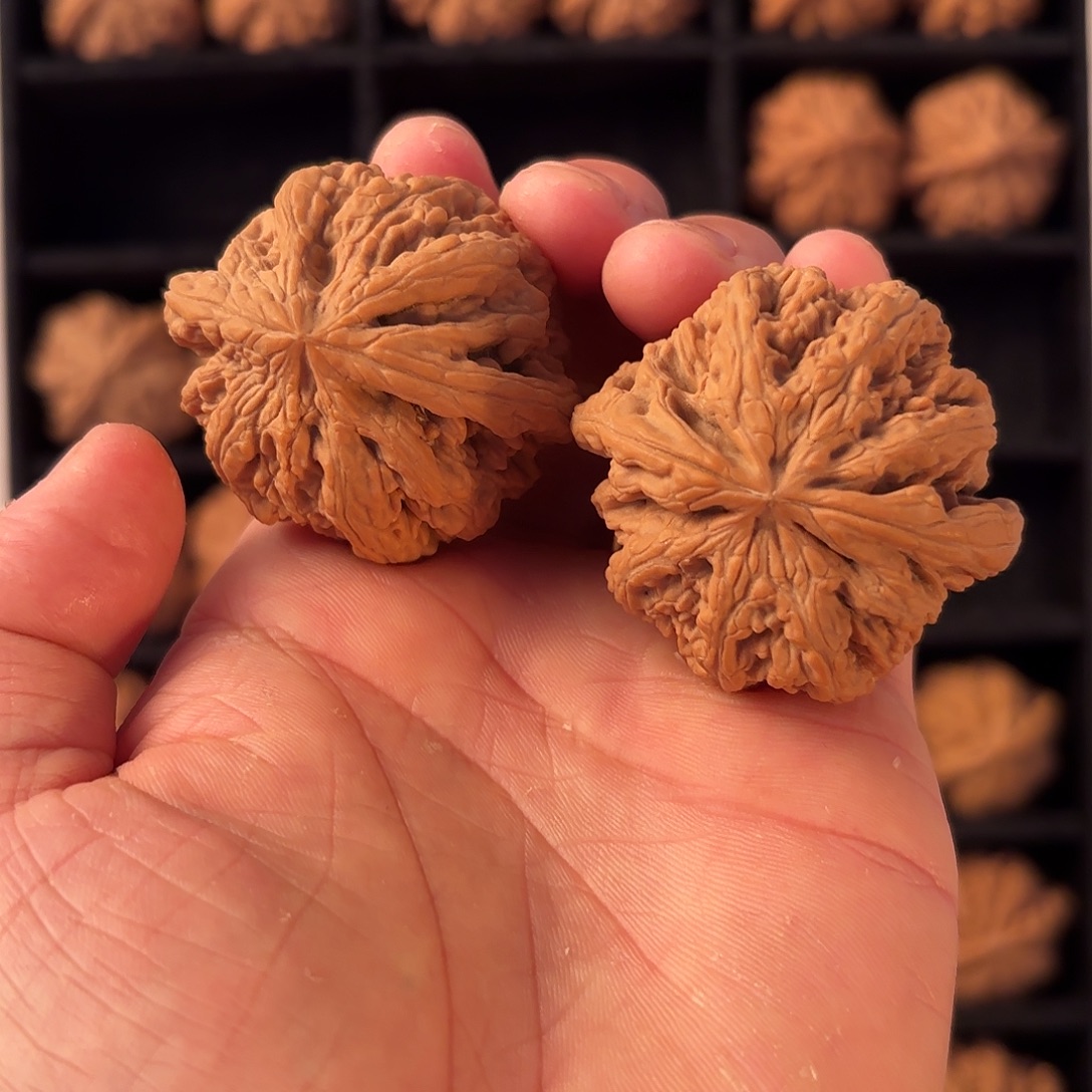 手串/手链核桃55555