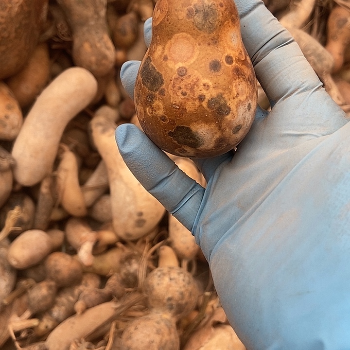 暮***霜直播间里的拍摄链接