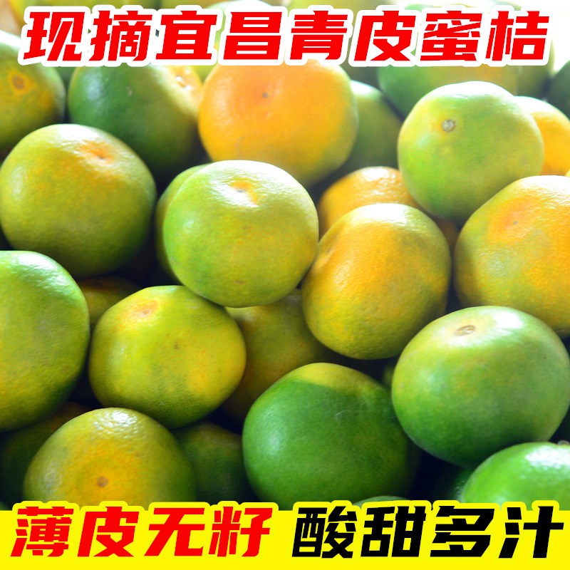 现摘宜昌蜜桔薄皮新鲜青皮橘子多汁孕妇水果应季酸甜无籽桔5/9斤