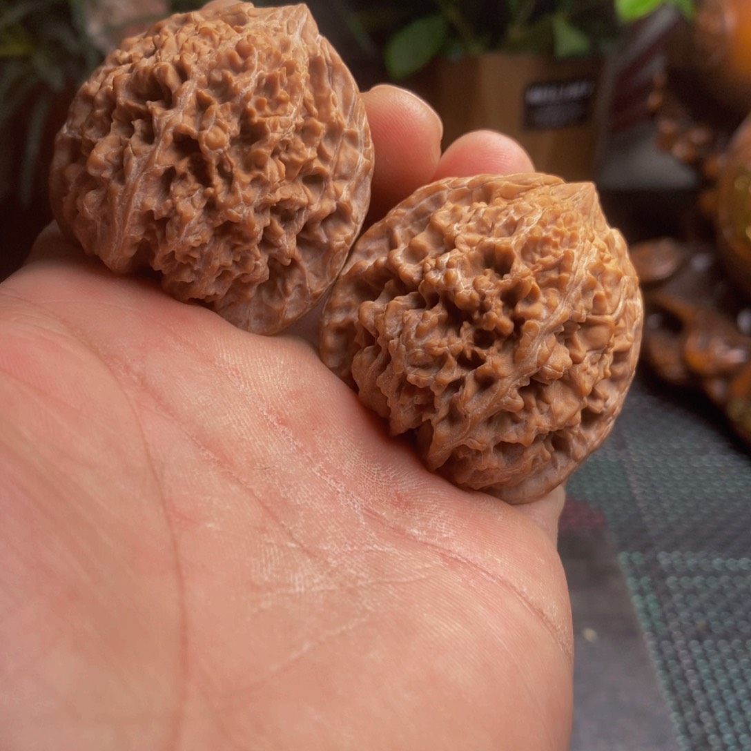 文玩核桃。满天星 核桃