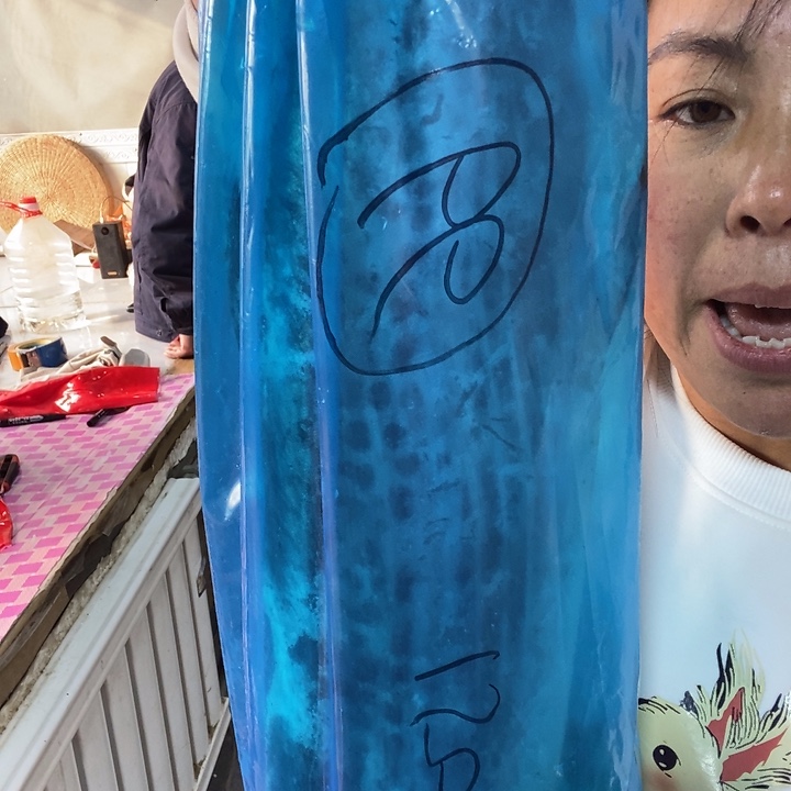 中国大陆渤海湾野生燕鲅鱼66号