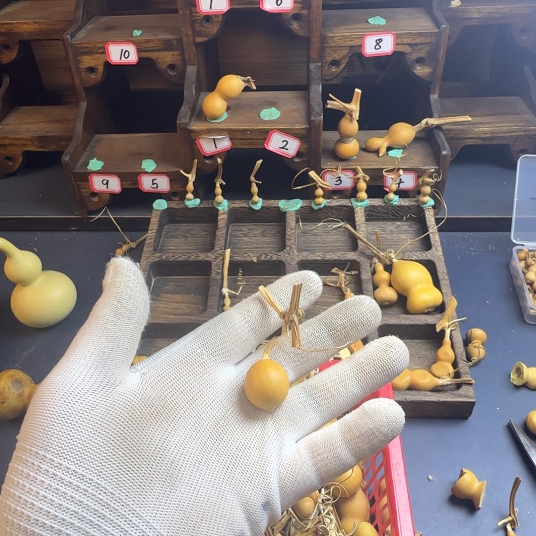 k***u我也是很喜欢这个节目的呢