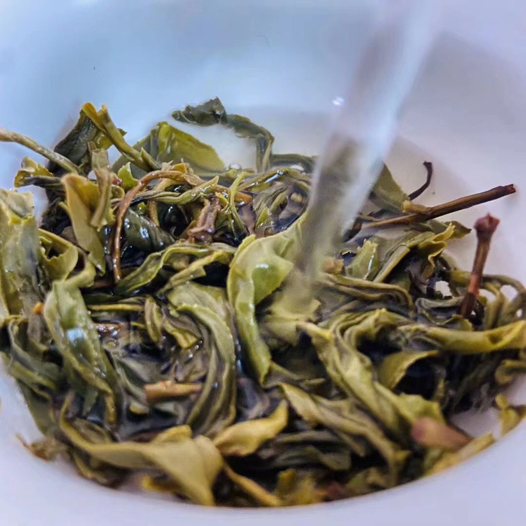 体验装【精品四款】拍一发四南雄特产茶叶白毛茶味香耐泡