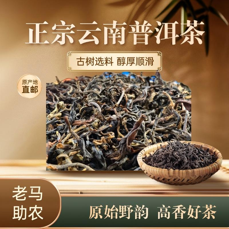 【老马助农】2025年云南古树红茶高山茶散装茶500克t