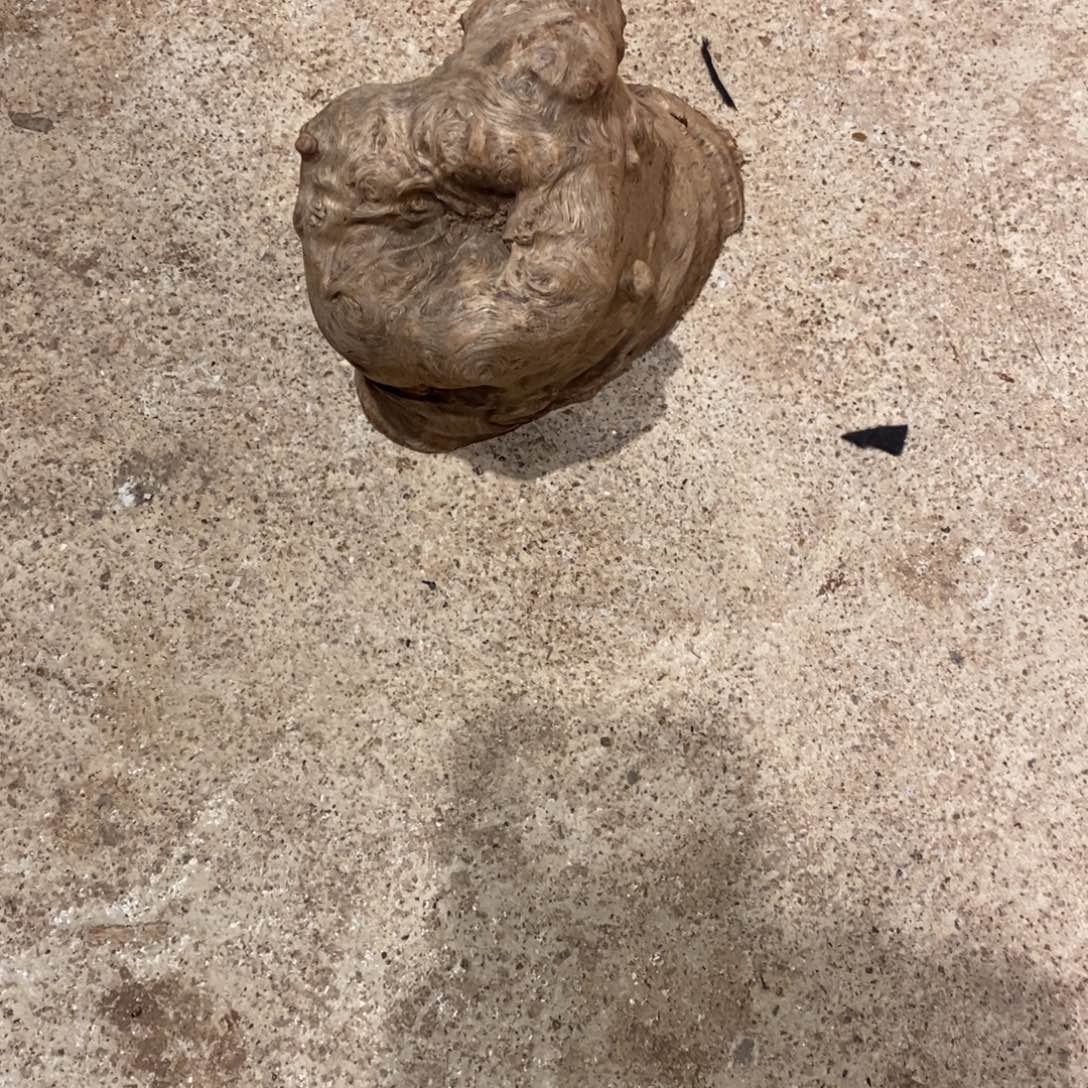 大***4荔枝木随形木材一个