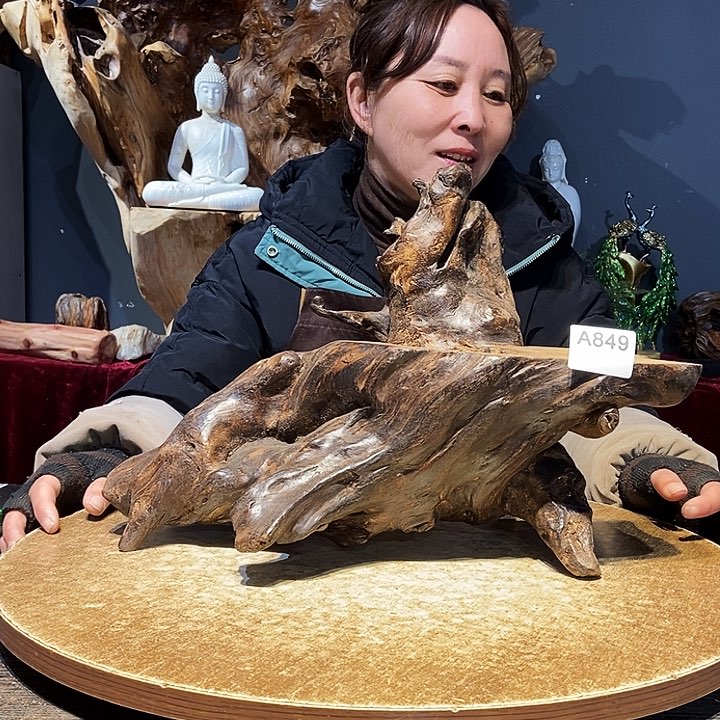 水*斋849。株木随行小根艺