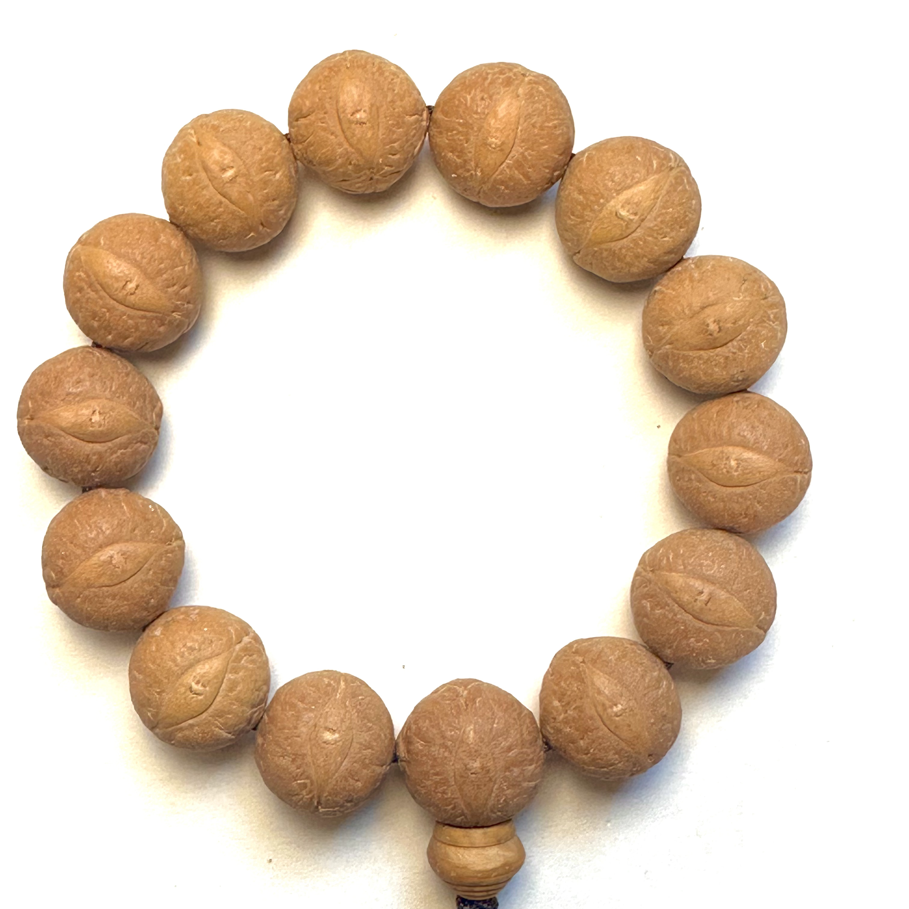喜鹊7号17.5mm，14颗，编号128超大尺寸尼泊尔凤眼菩提一物一图