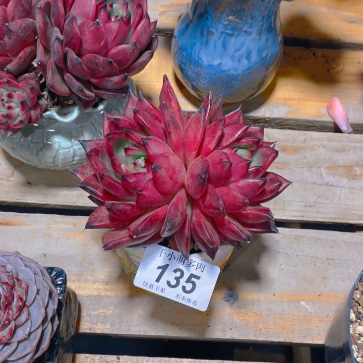 谢谢你的支持000000135